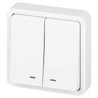 Выключатель Эксперт 11-1525-01 двойн. с подсветкой IP55 10АХ-250В СУ бел. Эра Б0063304