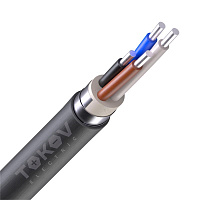 Кабель TOKOV ELECTRIC АВБШв 4х25 ОК (N) 0.66кВ (м) УТ000030757