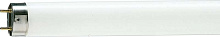 Лампа люминесцентная TL-D 58W/33-640 58Вт T8 4100К G13 PHILIPS 928049003351