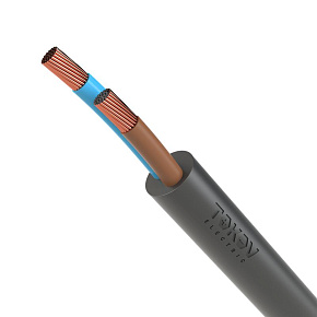 Провод TOKOV ELECTRIC ПВС 2х2.5 380В Ч (м) 1945483
