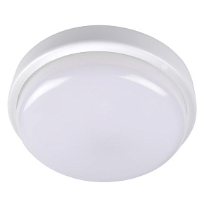 Светильник светодиодный "Банник" PBH-PC2-RA 12Вт 4000К IP65 ЖКХ ДБП кругл. пылевлагозащ. бел. JazzWay 1035660