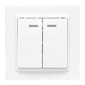 Выключатель 2-кл. СП Минск 10А IP20 с индикатором бел. Basic EKF ERV10-123-10
