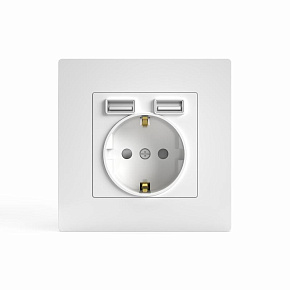 Розетка 1-м СП Pixel IP20 с заземл. с 2-мя заряд. устр. USB тип A+A механизм бел. TOKOV ELECTRIC TKE-PX-R1U2A-C01
