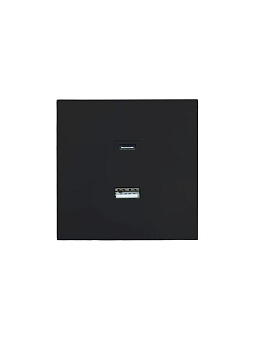 Розетка Type-C+ USB разъем СП ZIMA IP20 черн. бархат LEZARD 704-4288-192TC